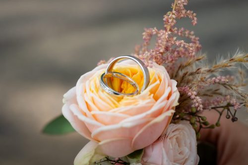 Mooie details van de Trouwringen in een roos