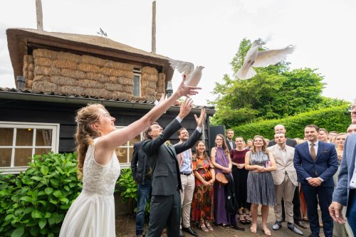Het vrijlaten van twee liefdesduiven tijdnes de bruiloft